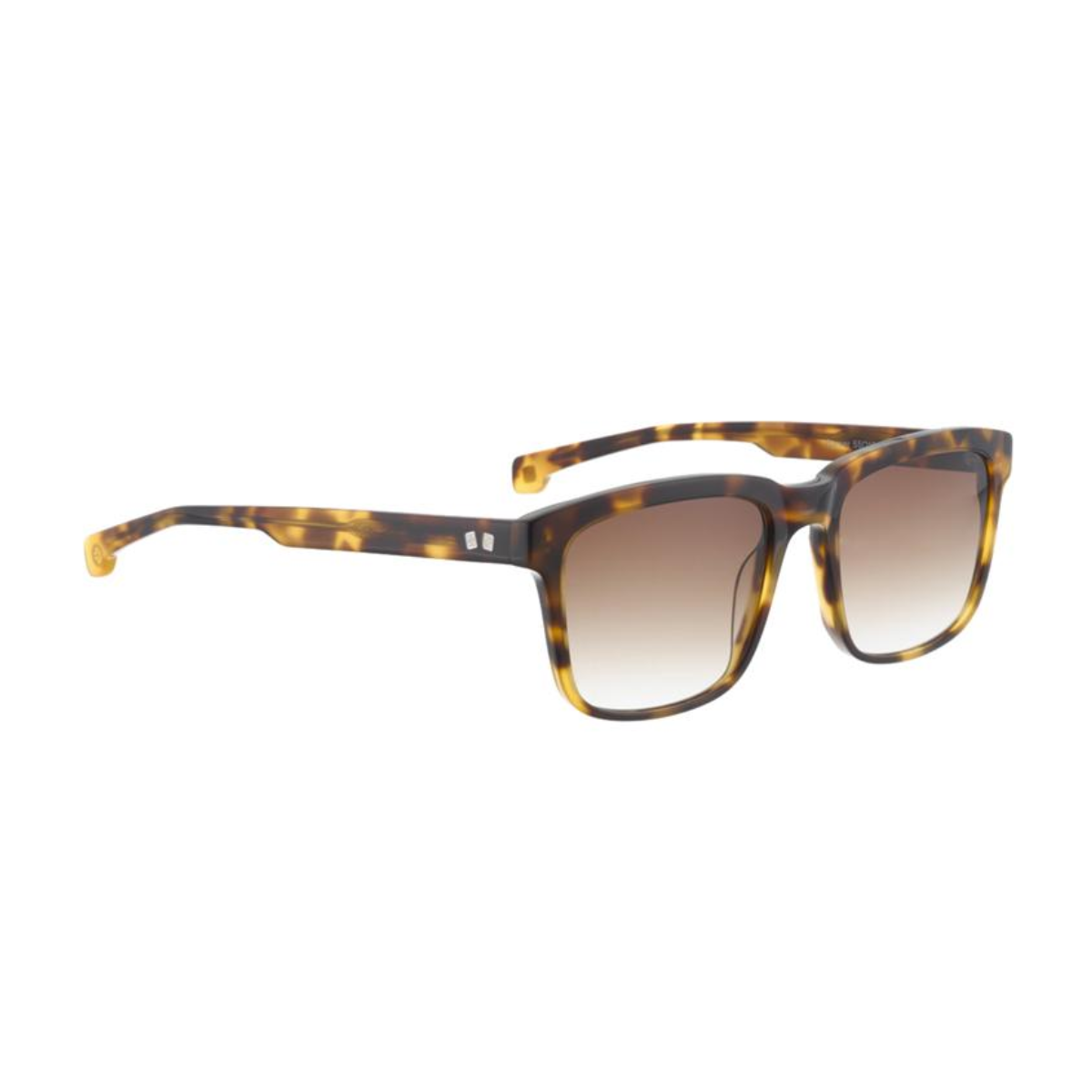 Entourage of 7 Occhiali da sole WARNER 0835 Brown