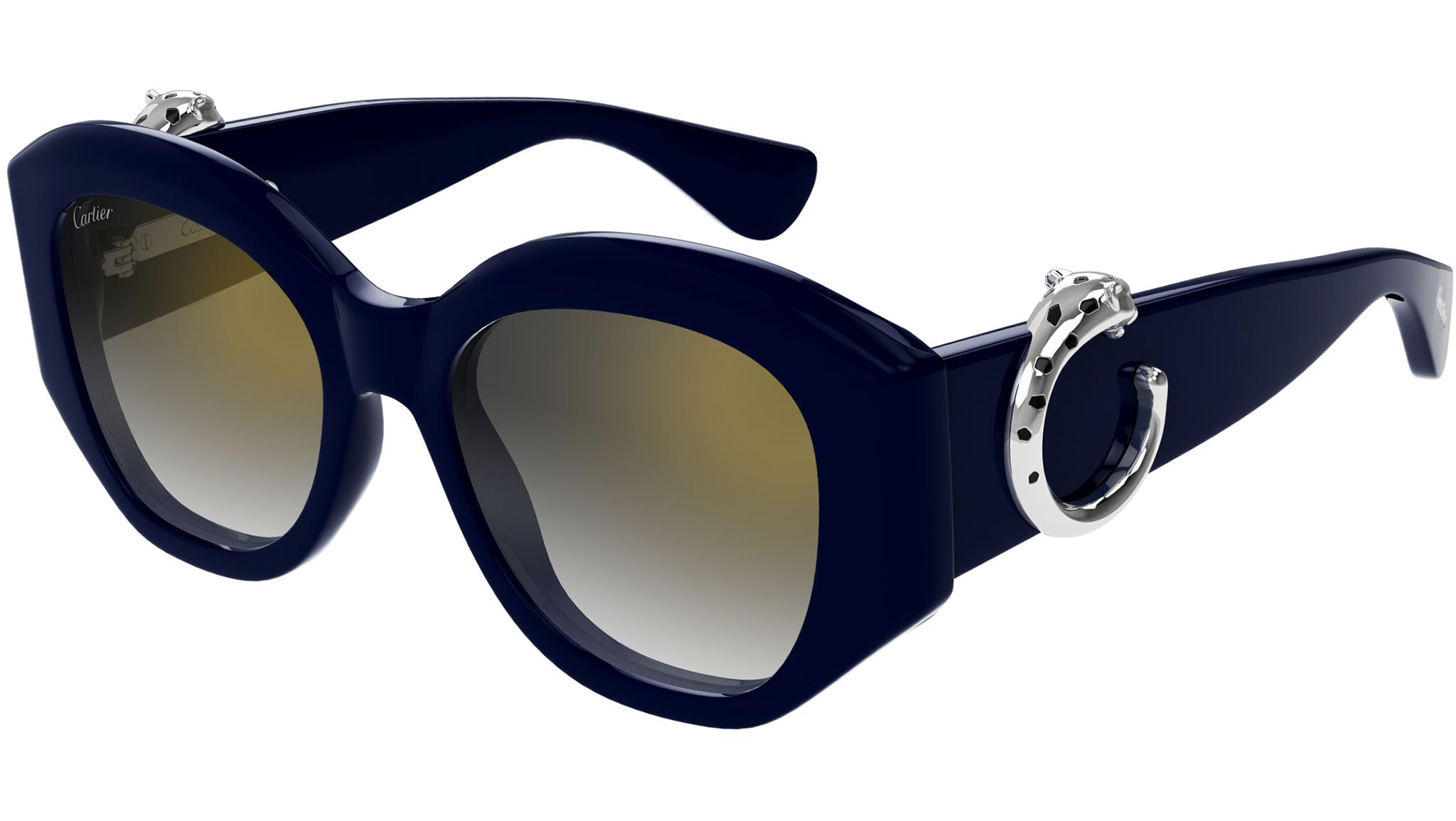Occhiali da sole CARTIER CT0502S Deep blue