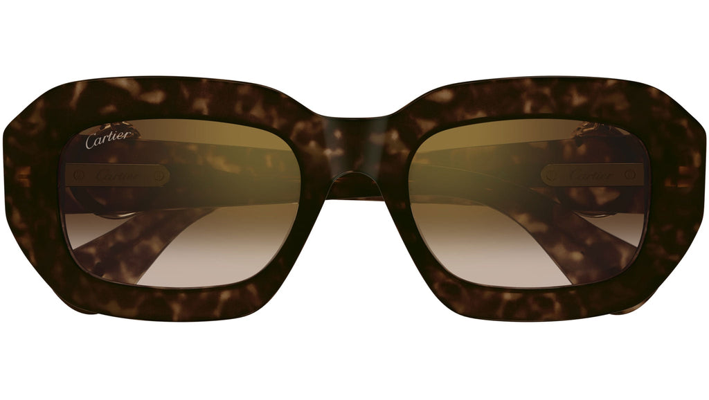 Occhiali da sole CARTIER CT0546S Dark tortoiseshell effect