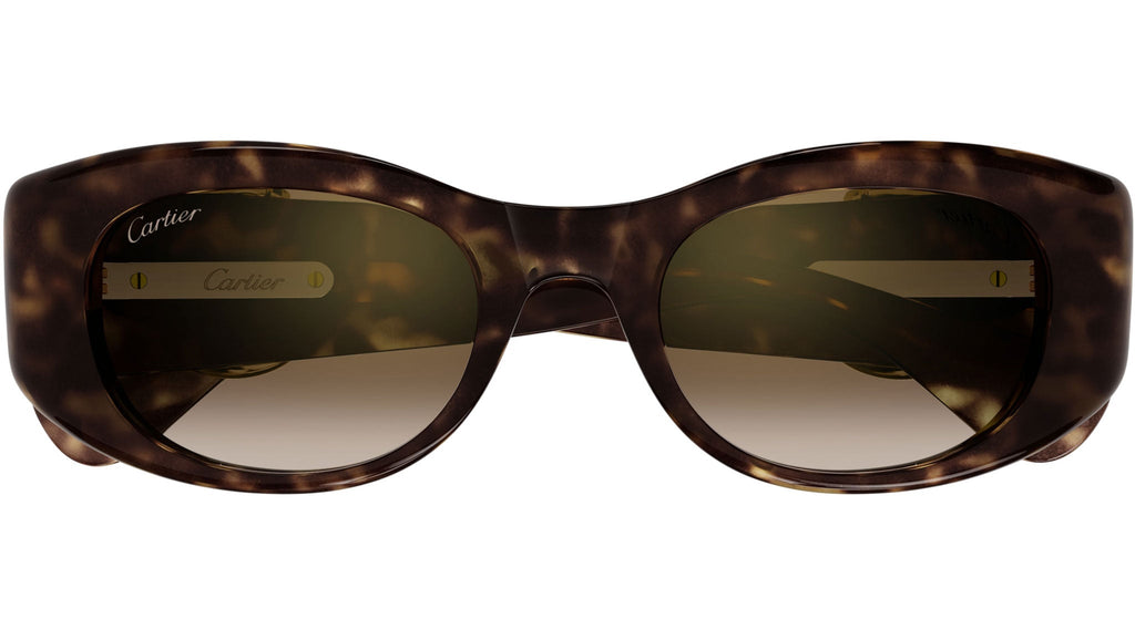 Occhiali da sole CARTIER CT0472S Dark tortoiseshell