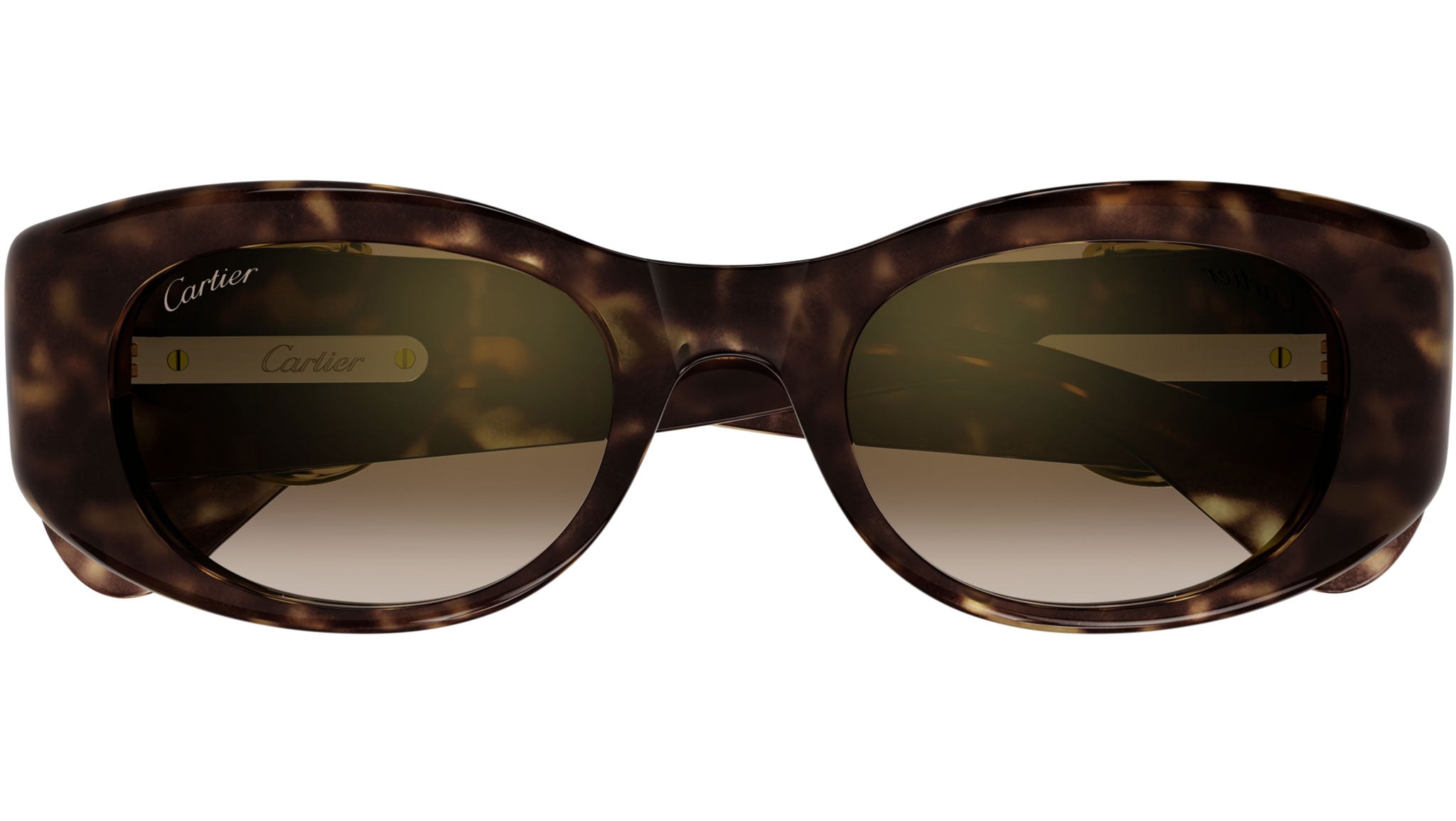 Occhiali da sole CARTIER CT0472S Dark tortoiseshell