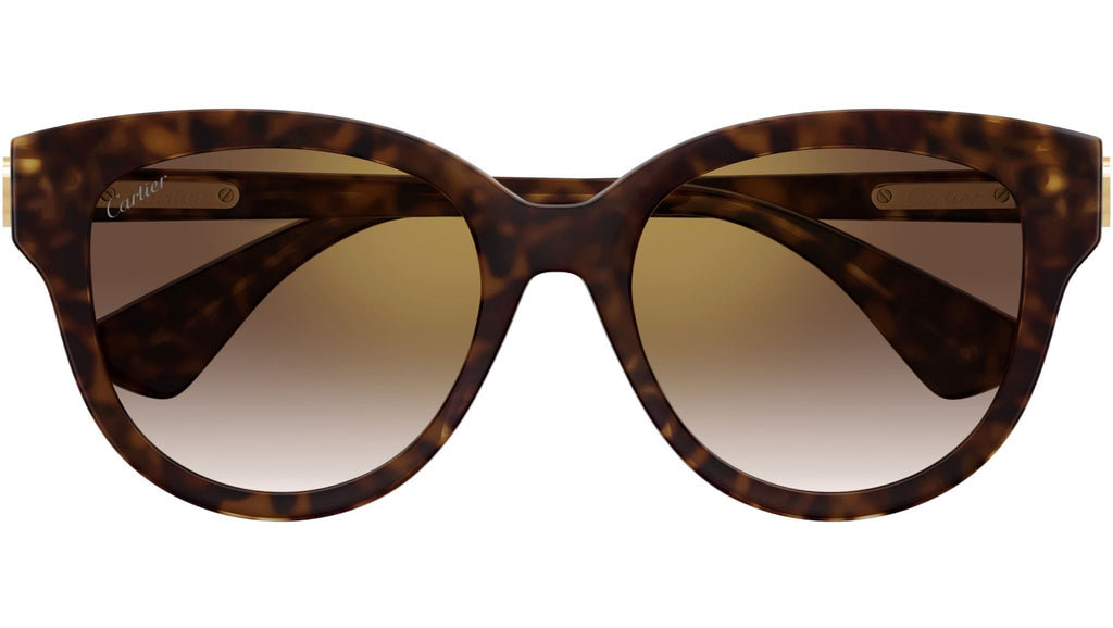 Occhiali da sole CARTIER CT0506S Dark tortoiseshell effect