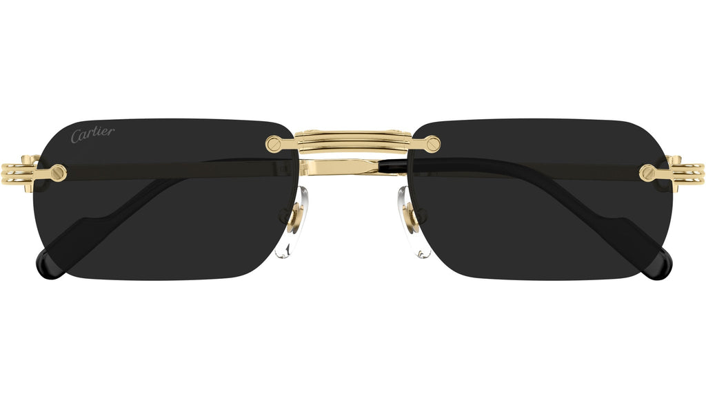 Occhiali da sole CARTIER CT0499S Smooth golden finish