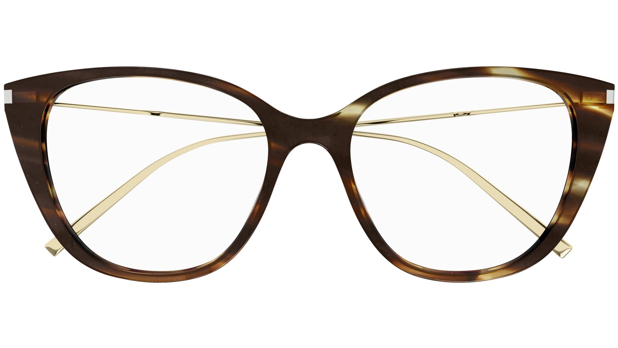 Occhiali da vista SAINT LAURENT SL627 Shiny kaki melange havana