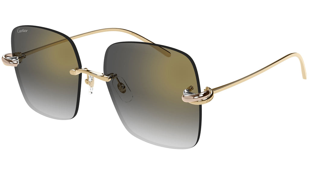 Occhiali da sole CARTIER CT0508S Smooth golden finish