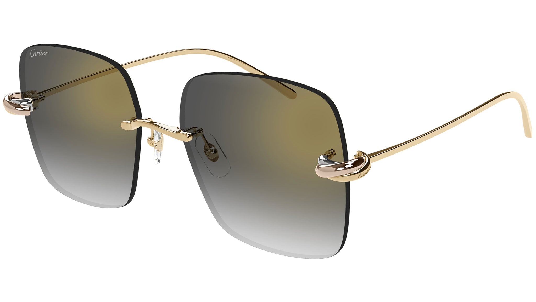 Occhiali da sole CARTIER CT0508S Smooth golden finish