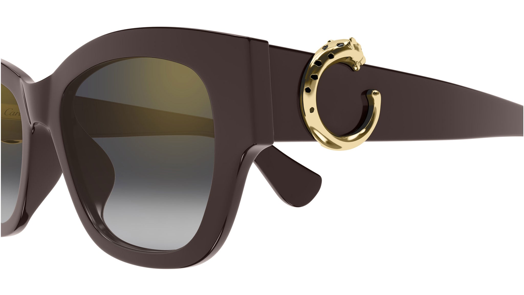Occhiali da sole CARTIER CT0548SA Brown