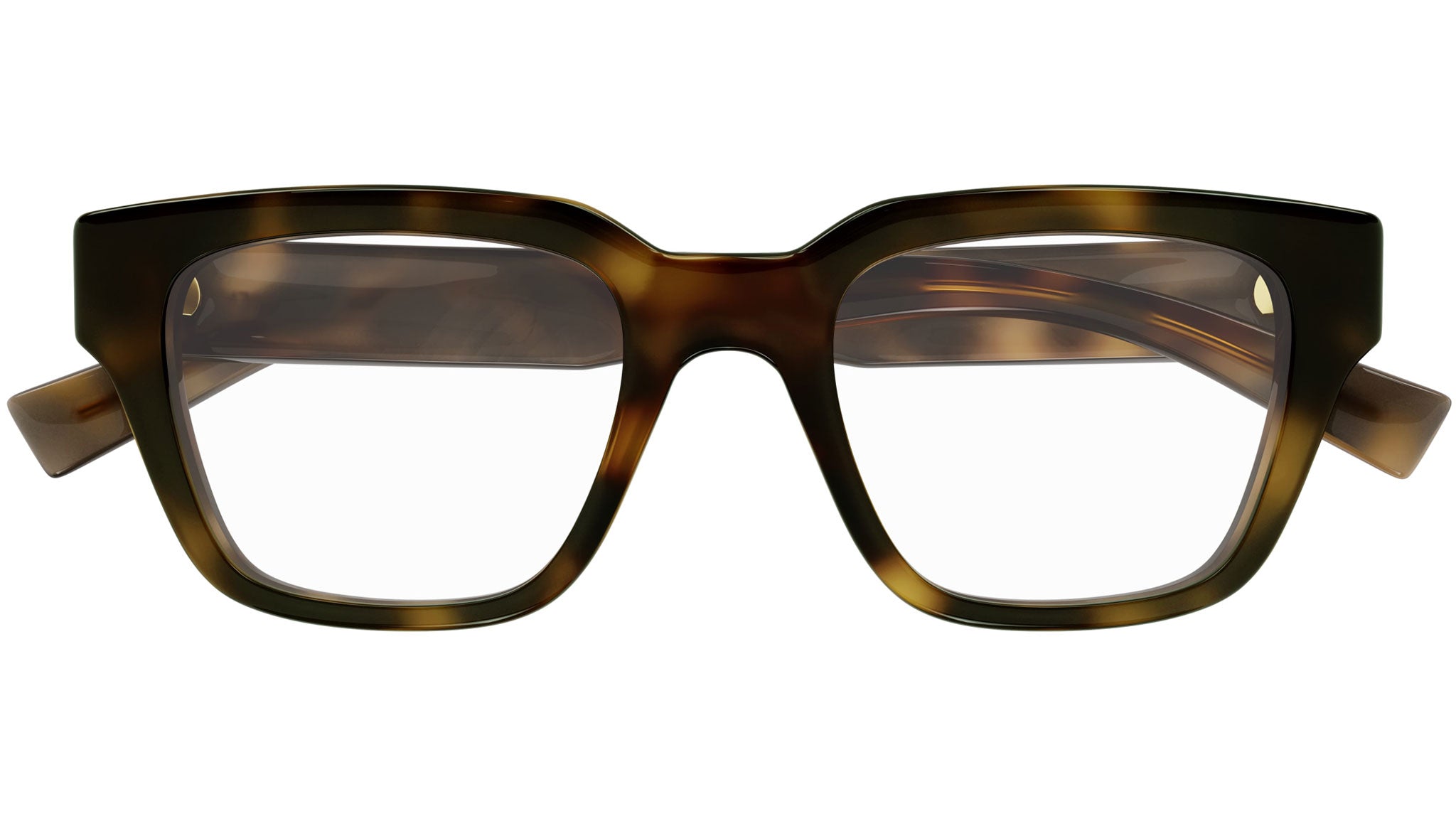 Occhiali da vista SAINT LAURENT SL804 Shiny medium havana