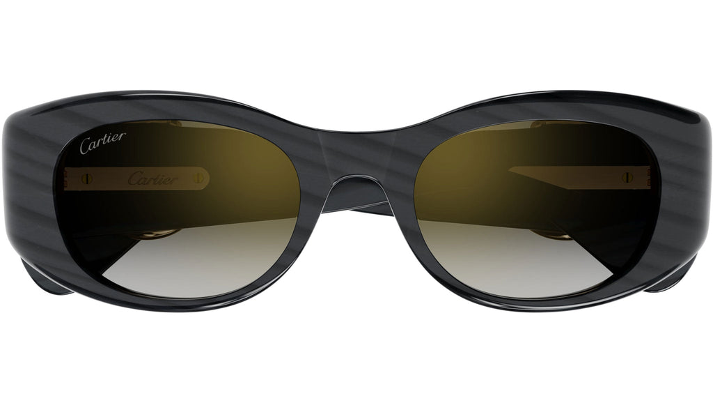 Occhiali da sole CARTIER CT0472S Grey panthère claw