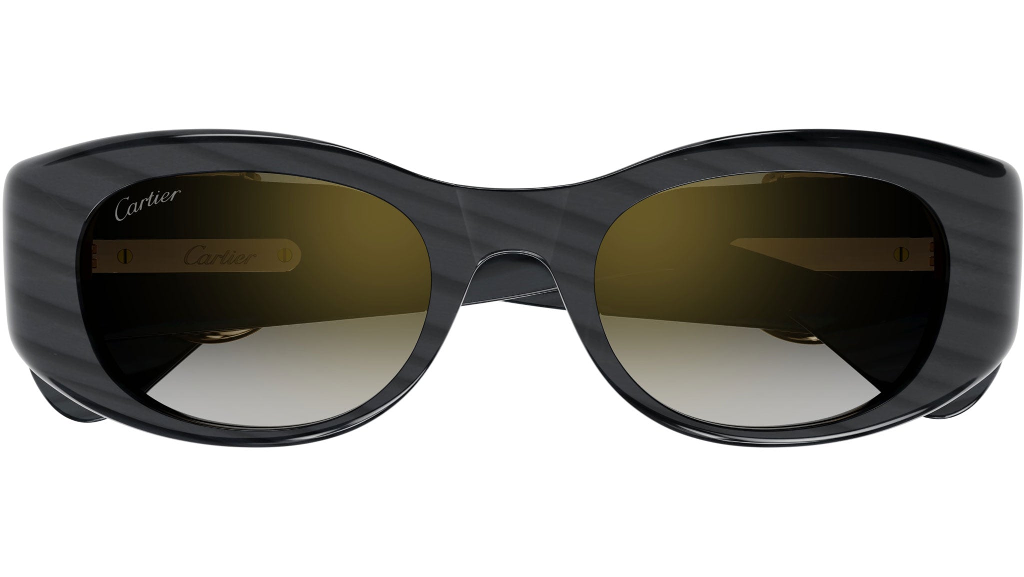 Occhiali da sole CARTIER CT0472S Grey panthère claw