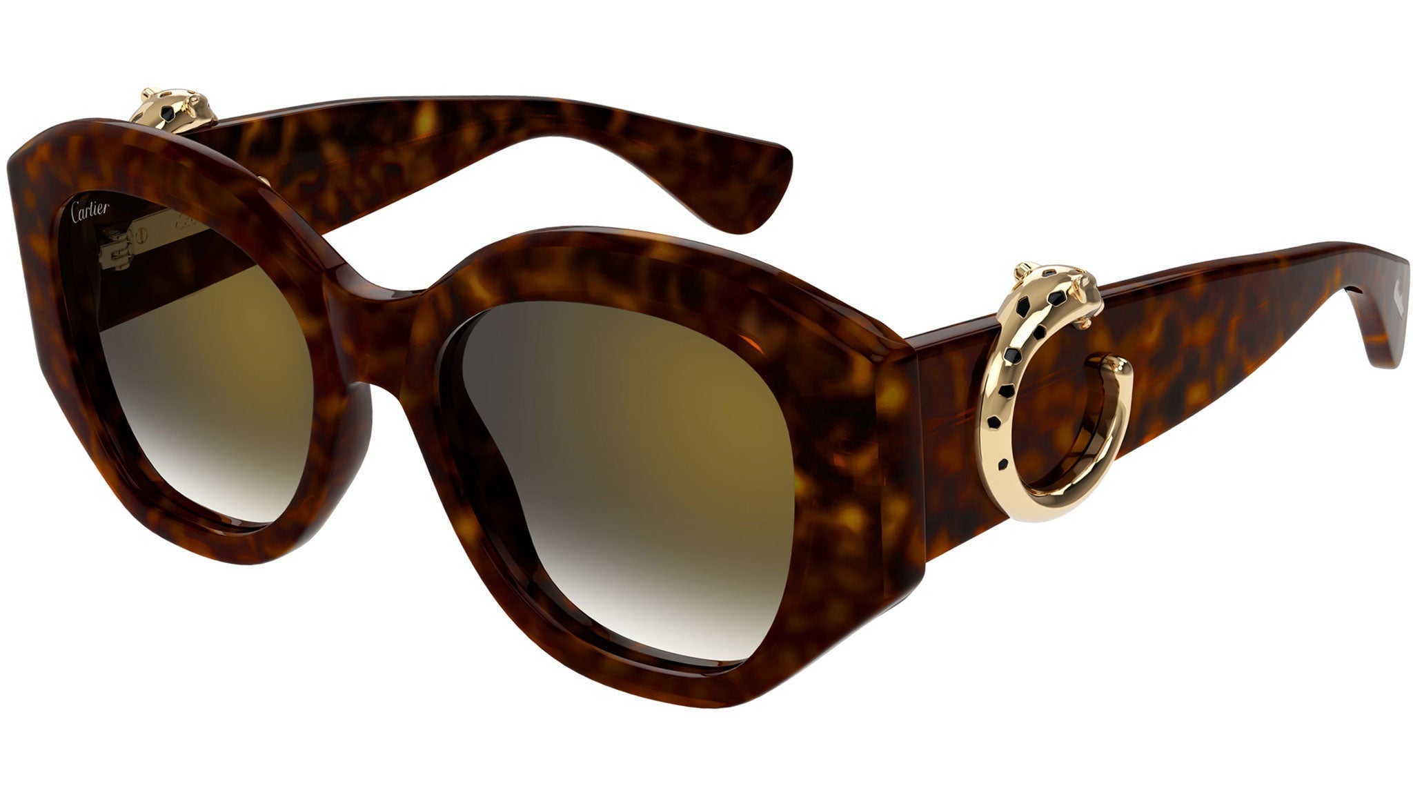 Occhiali da sole CARTIER CT0502S Dark tortoiseshell effect