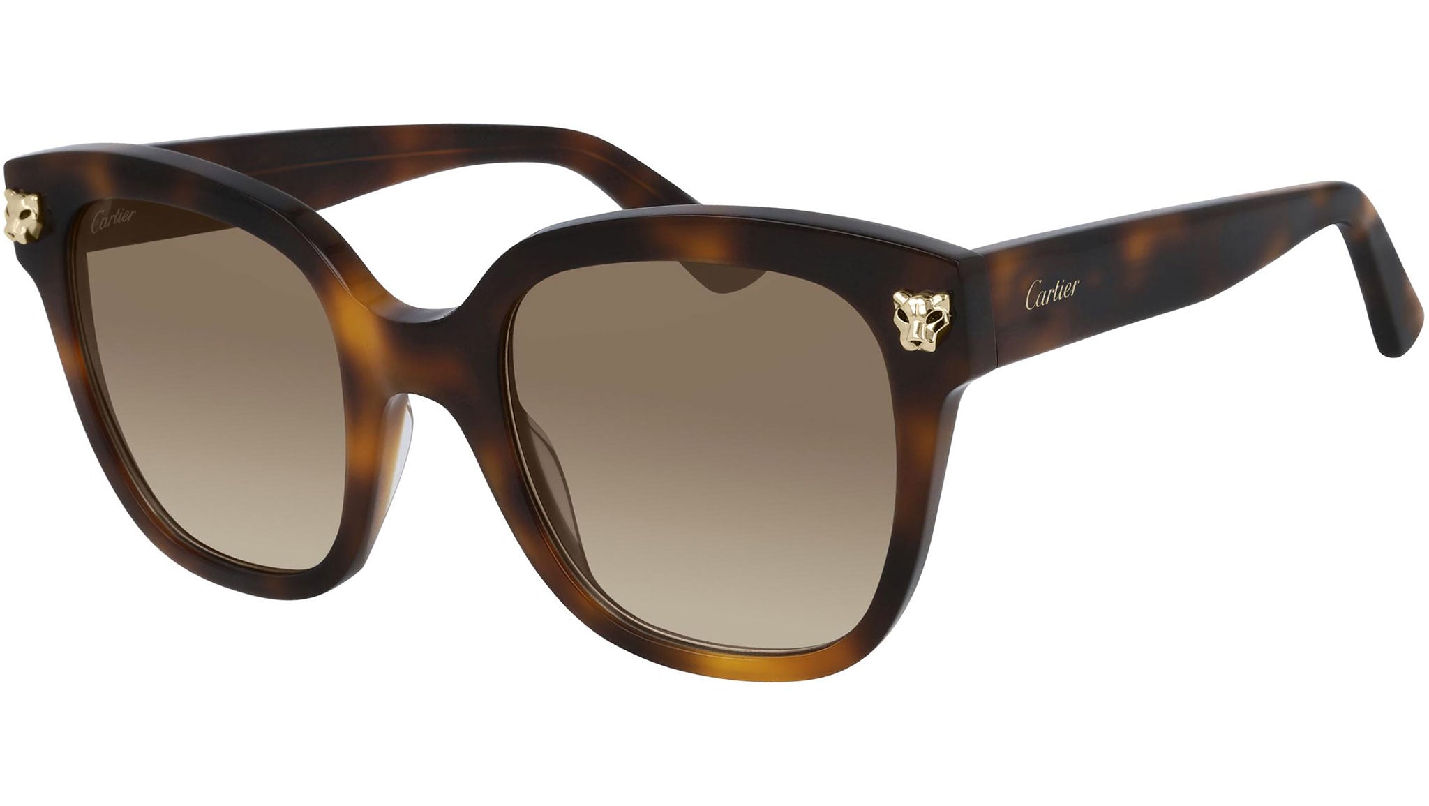 Occhiali da sole CARTIER CT0143S Tortoiseshell smooth golden