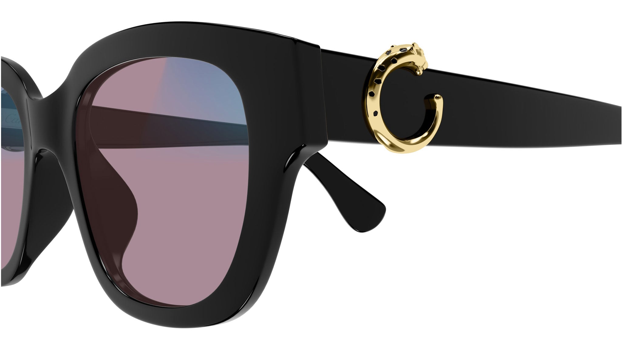 Occhiali da sole CARTIER CT0566S Black