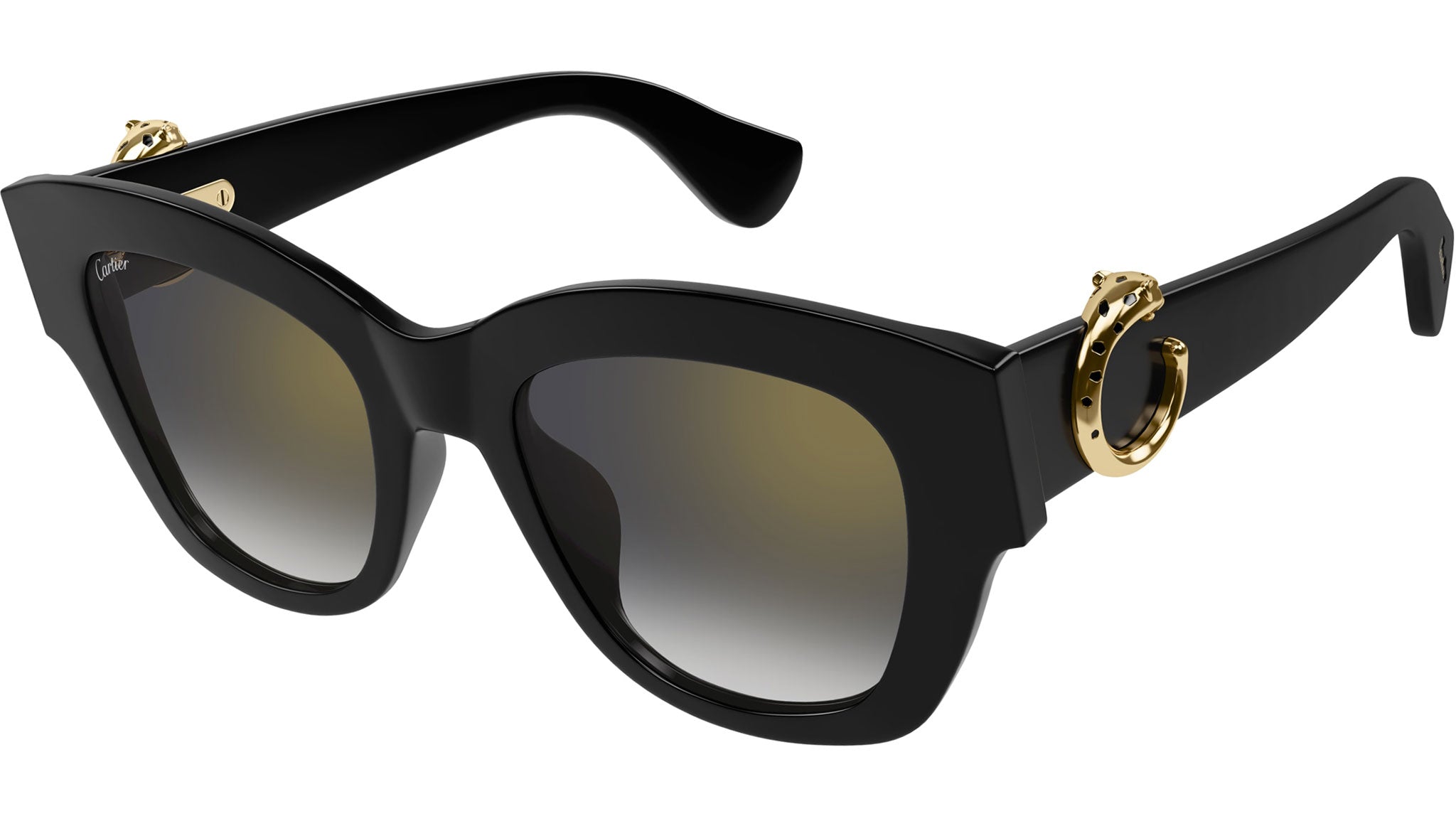 Occhiali da sole CARTIER CT0547S Black