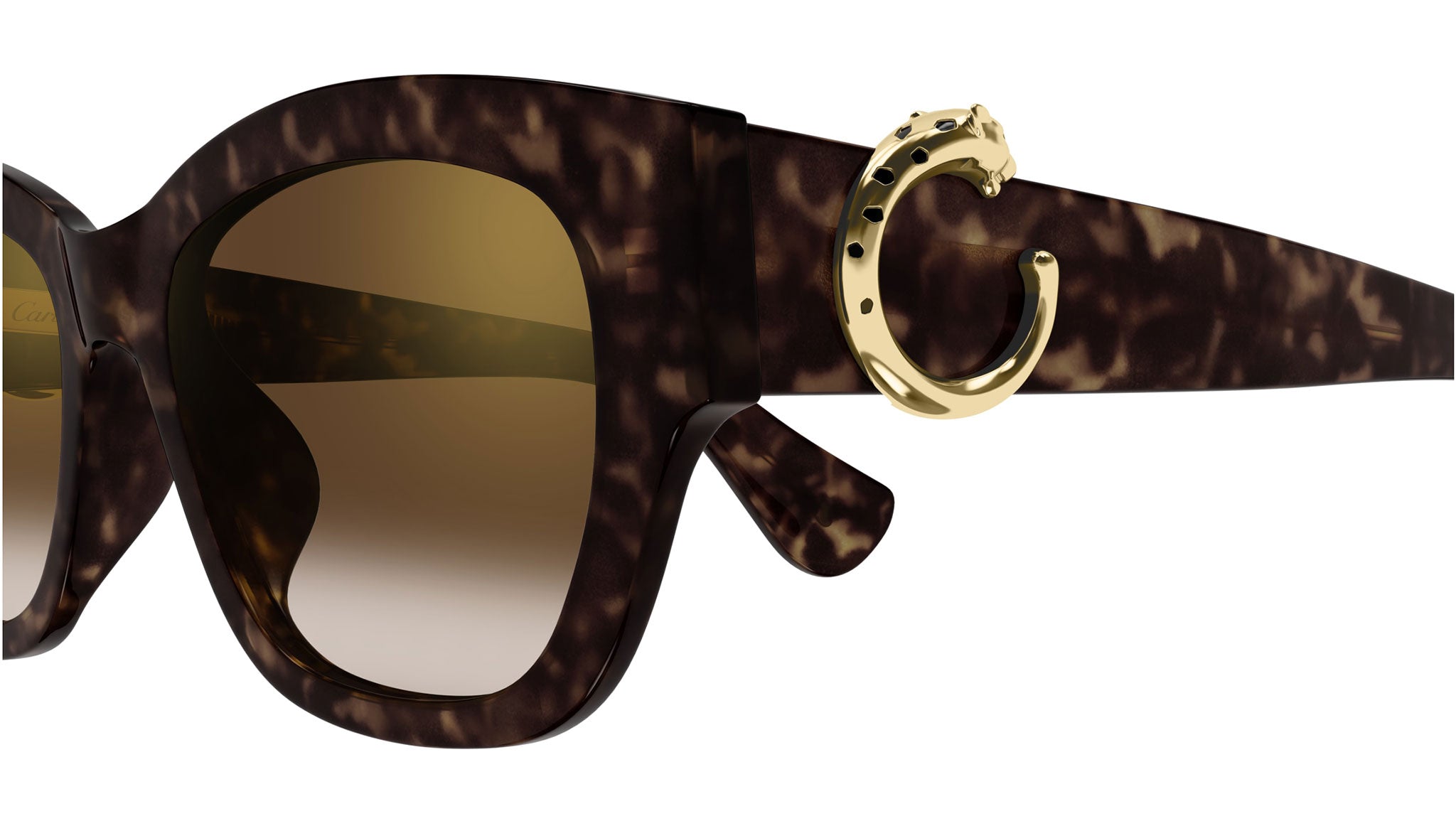 Occhiali da sole CARTIER CT0548SA Dark tortoiseshell effect