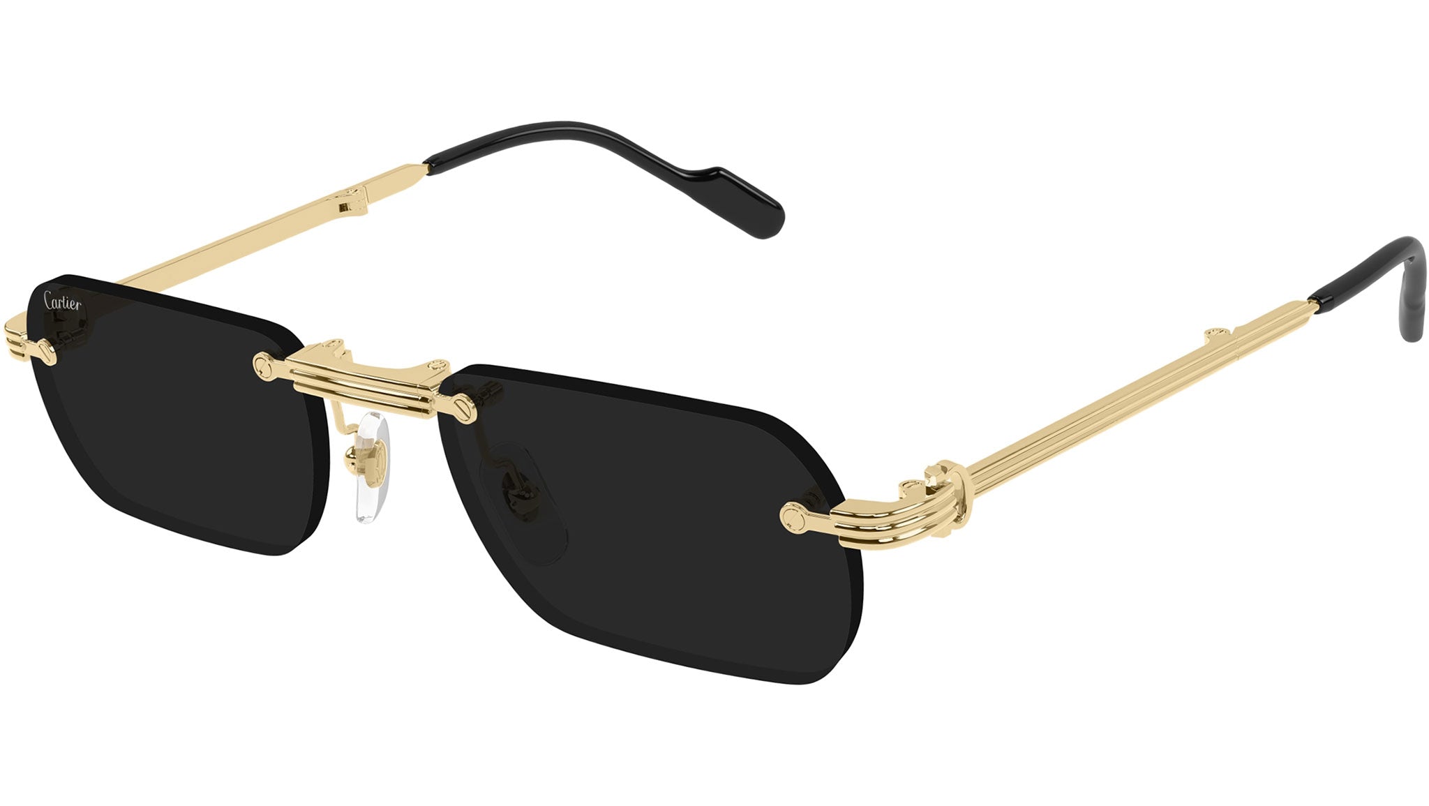 Occhiali da sole CARTIER CT0499S Smooth golden finish