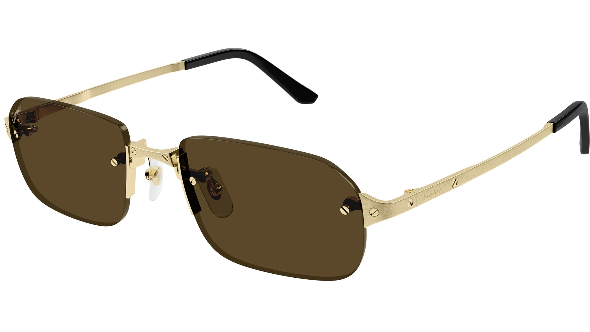 Occhiali da sole CARTIER CT0460S Brushed smooth golden finish